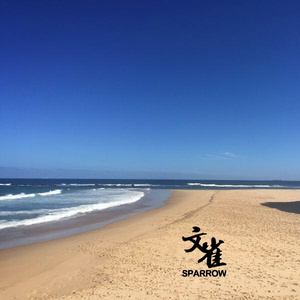 91P成人视频大鸡巴几人同时插入
